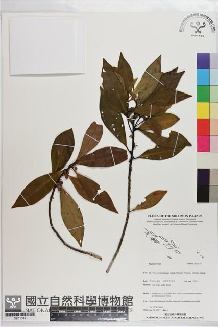 登錄號:S201312藏品圖，第1張