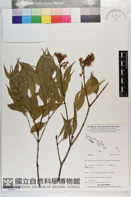 登錄號:S203312藏品圖，第1張