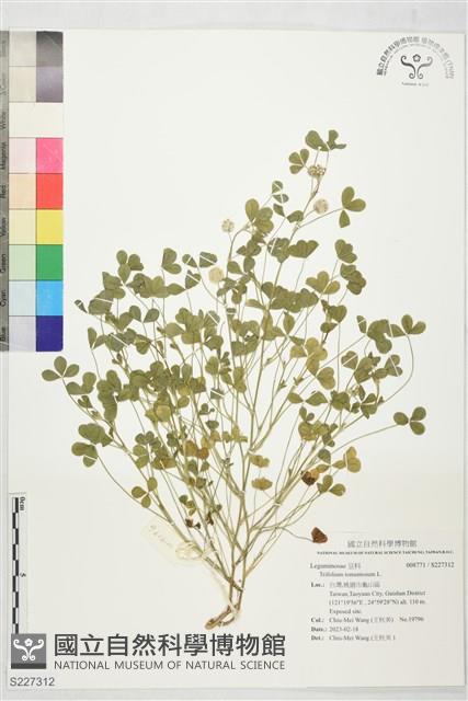 登錄號:S227312藏品圖，第1張