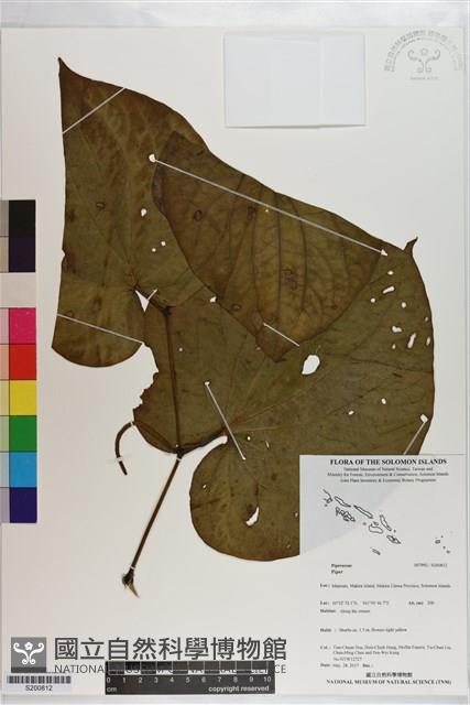 登錄號:S200812藏品圖，第1張