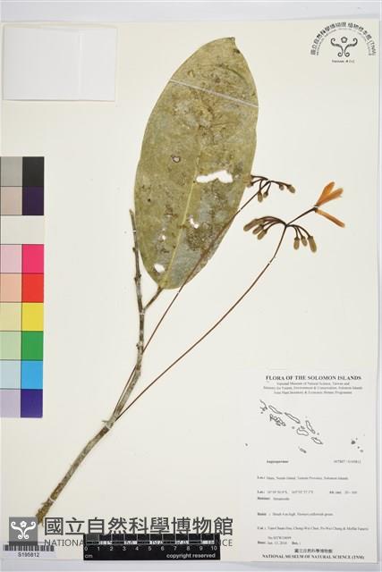 登錄號:S195812藏品圖，第1張