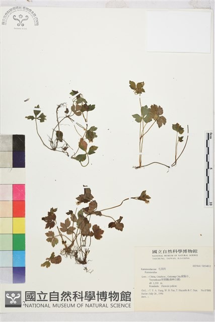 登錄號:S034812藏品圖，第1張