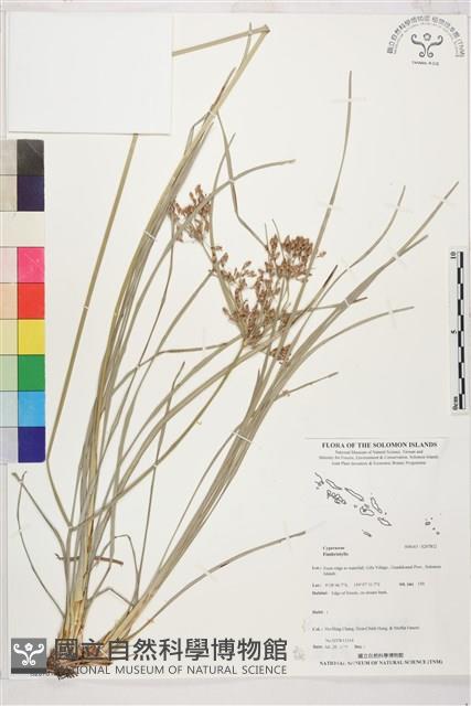 登錄號:S207812藏品圖，第1張