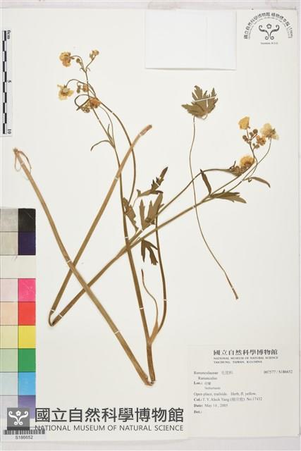 登錄號:S186652藏品圖，第1張