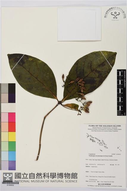 登錄號:S195652藏品圖，第1張