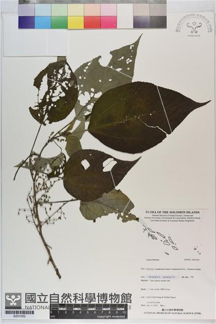 登錄號:S201052藏品圖，第1張