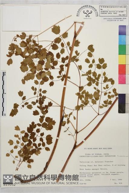 Accession Number:S015052 Collection Image