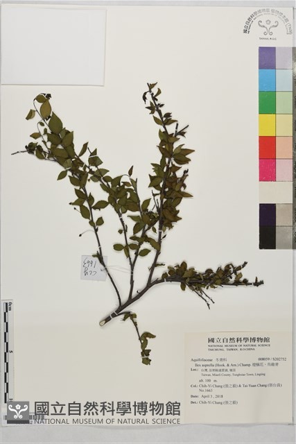 燈稱花、烏雞骨藏品圖，第1張