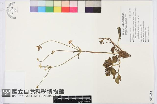 登錄號:S115752藏品圖，第1張