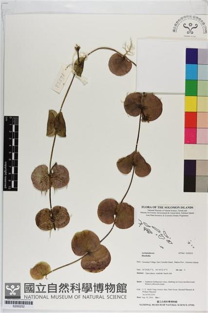 登錄號:S200252藏品圖，第1張