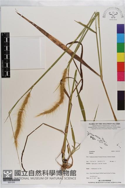 登錄號:S201252藏品圖，第1張