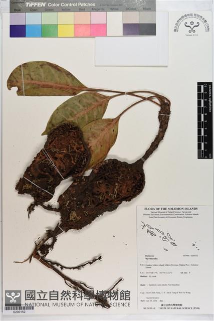 登錄號:S200152藏品圖，第1張