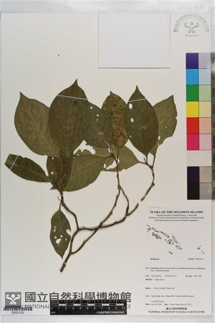 登錄號:S203152藏品圖，第1張