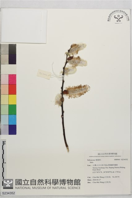 登錄號:S234352藏品圖，第1張