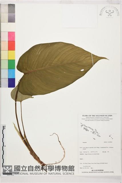 登錄號:S207852藏品圖，第1張