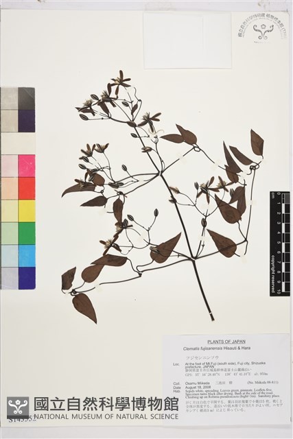 登錄號:S143552藏品圖，第1張