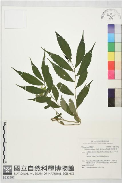 赤車使者藏品圖，第1張