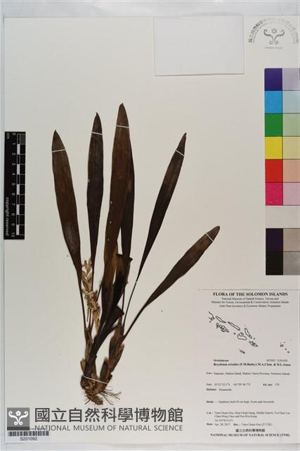 登錄號:S201092藏品圖，第1張