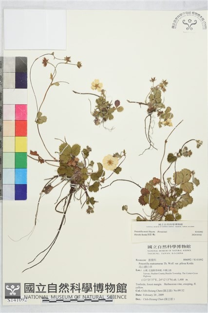 登錄號:S141092藏品圖，第1張