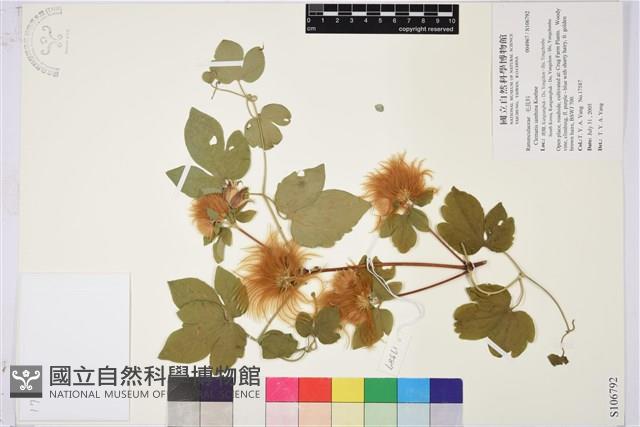 登錄號:S106792藏品圖，第1張