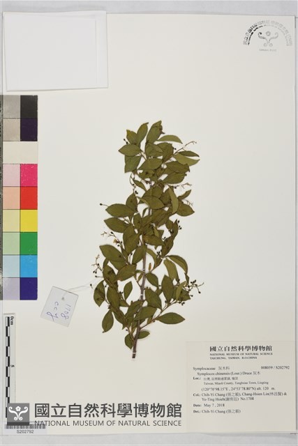 灰木藏品圖，第1張