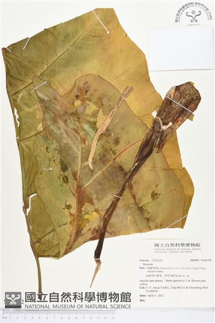 登錄號:S164792藏品圖，第1張