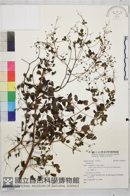 登錄號:S186292藏品圖，第1張