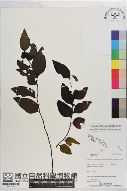 登錄號:S201292藏品圖，第1張