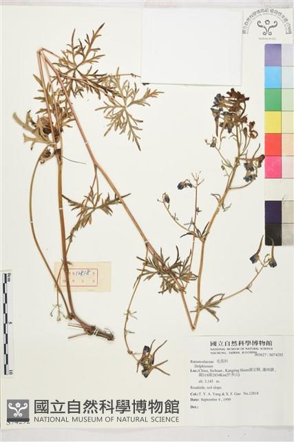 登錄號:S074292藏品圖，第1張