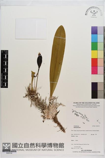 登錄號:S200192藏品圖，第1張