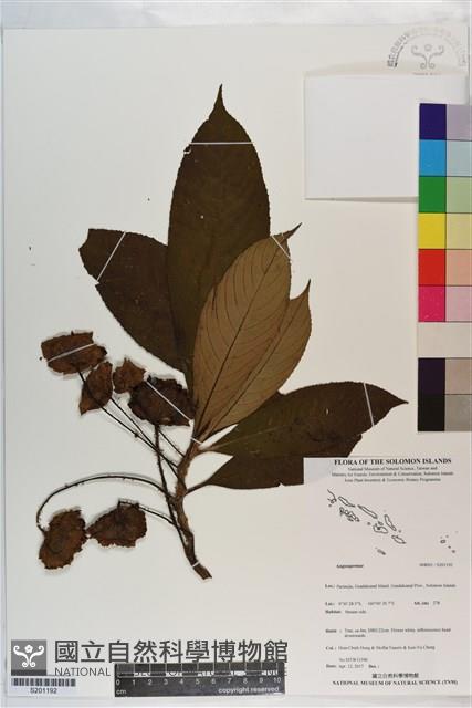 登錄號:S201192藏品圖，第1張