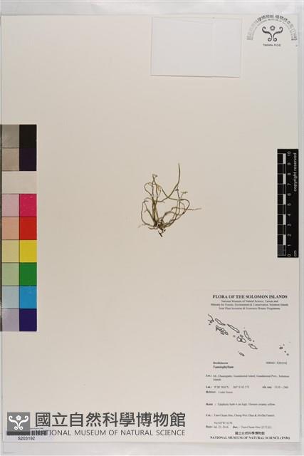 登錄號:S203192藏品圖，第1張