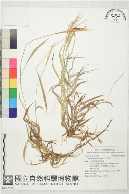 亨利馬唐藏品圖，第1張