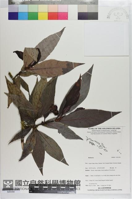 登錄號:S203392藏品圖，第1張