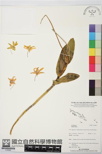 登錄號:S195892藏品圖，第1張