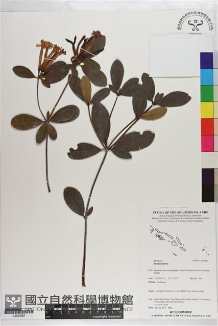 登錄號:S200992藏品圖，第1張