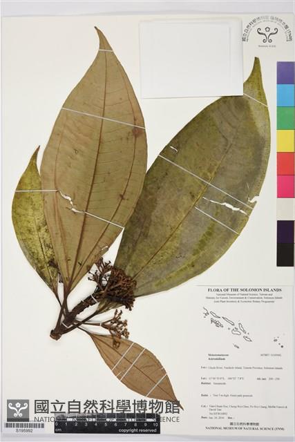 登錄號:S195992藏品圖，第1張