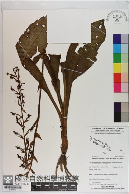 登錄號:S200032藏品圖，第1張