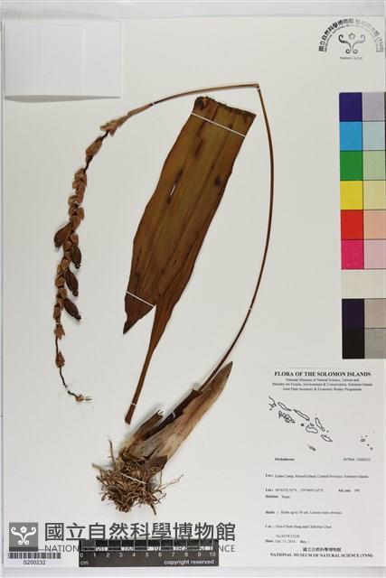 登錄號:S200232藏品圖，第1張