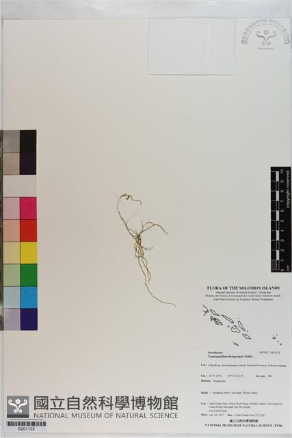 登錄號:S201132藏品圖，第1張