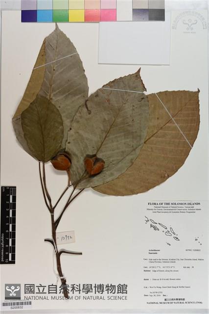 登錄號:S200832藏品圖，第1張