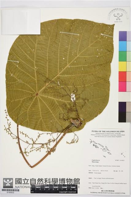 登錄號:S195832藏品圖，第1張