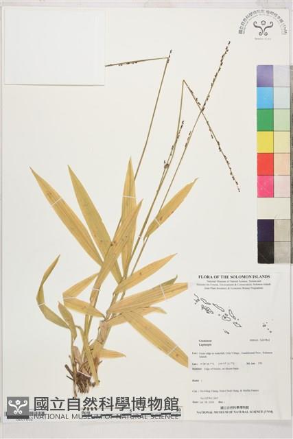 登錄號:S207832藏品圖，第1張