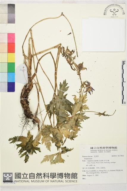登錄號:S137832藏品圖，第1張