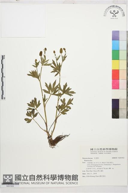 登錄號:S201932藏品圖，第1張