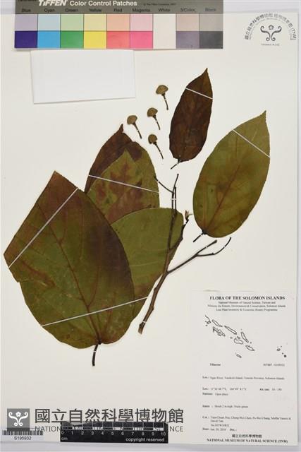 登錄號:S195932藏品圖，第1張