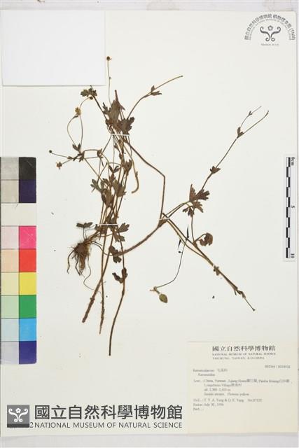 登錄號:S034932藏品圖，第1張