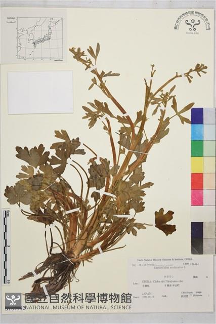 石龍芮藏品圖，第1張