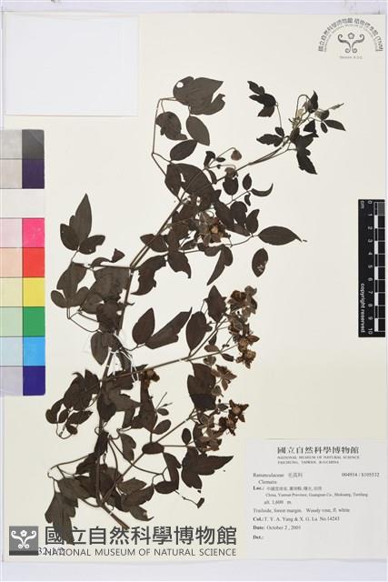 登錄號:S105532藏品圖，第1張