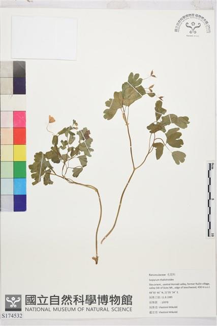 登錄號:S174532藏品圖，第1張